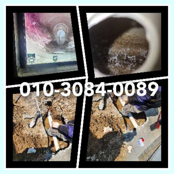 용인영덕동변기역류